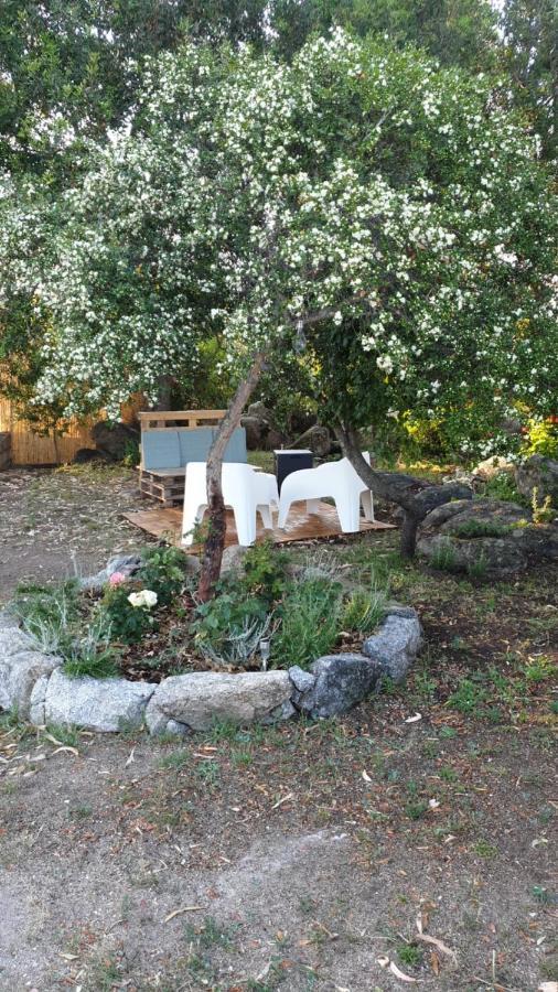 Casa Vacanze Olbia - Alebea - Екстер'єр фото