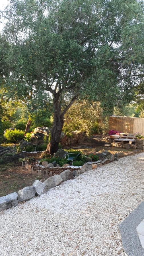 Casa Vacanze Olbia - Alebea - Екстер'єр фото