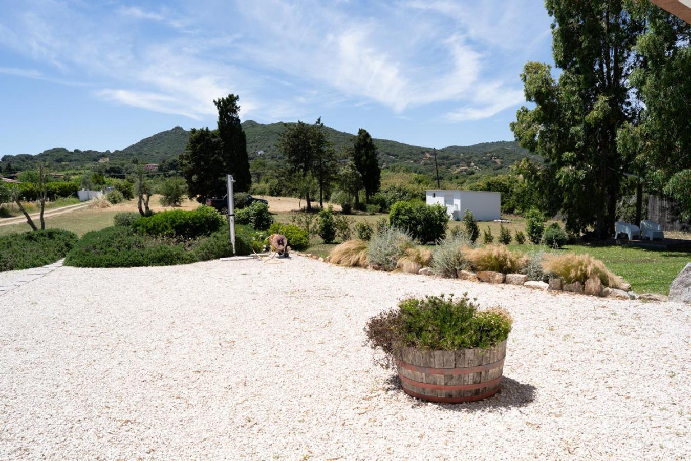 Casa Vacanze Olbia - Alebea - Екстер'єр фото